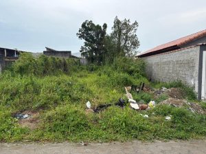 Mongaguá cria lei para autuar imóveis sem limpeza e conservação