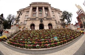 Primavera Criativa terá arte e muitas flores de quinta a domingo