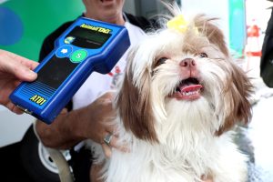 Pet PG Chip atende pets na feira do Canto do Forte