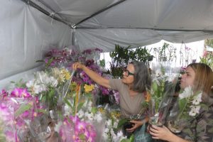 Festival de orquídeas agita Jardim Botânico de Santos