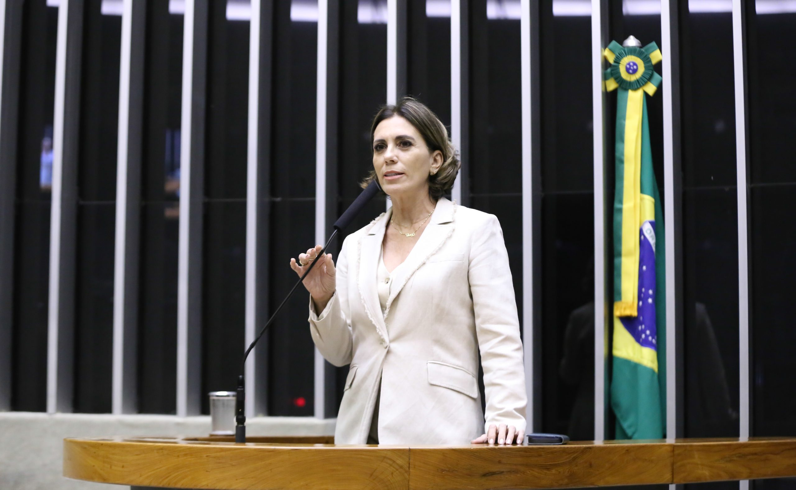 Kayo Magalhães/Câmara dos Deputados