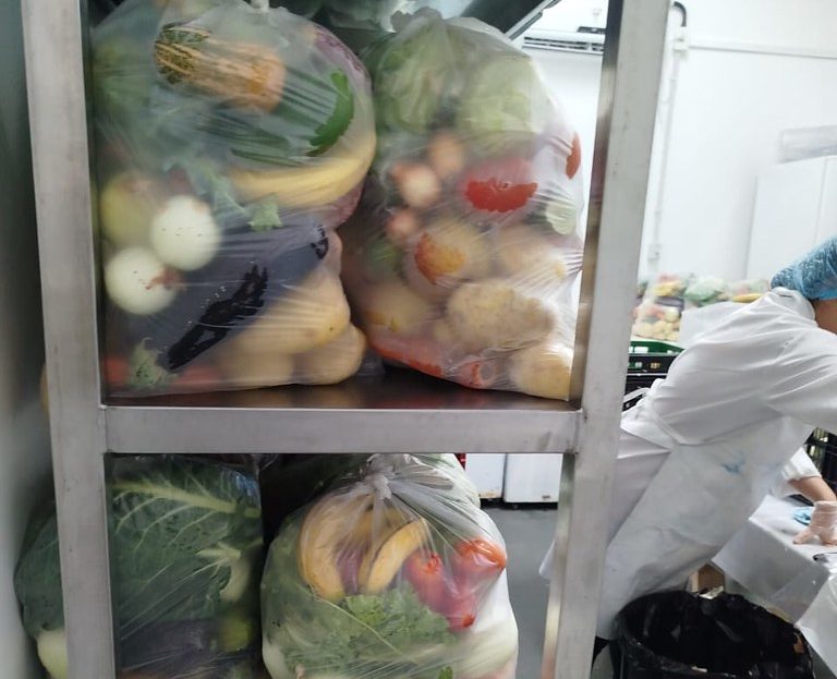 Guarujá celebra Dia Mundial da Alimentação com ações | Jornal da Orla
