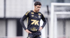 Vojvoda analisa quem deve ser o substituto de Zé Rafael na partida entre Santos e Botafogo