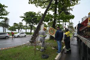 Ventos de 99 km/h e chuvas causam ocorrências em Santos