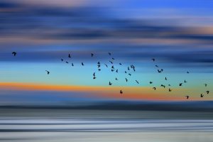 Exposição une fotografia e inteligência artificial em galeria de Santos