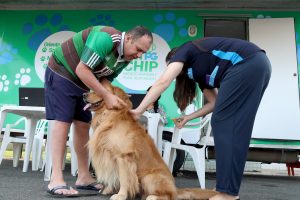 ‘Pet PG Chip’ oferece microchipagem gratuita em PG