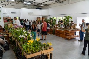 Bertioga realiza II Exposição de Orquídeas