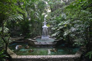 Orquidário de Santos comemora 80 anos com festa neste sábado