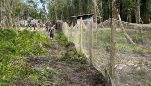 Mongaguá reforça ações contra invasões no Flórida Mirim