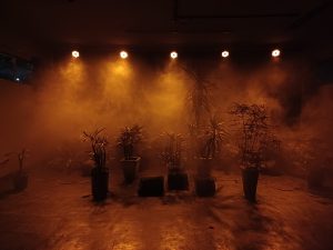 ‘Antropoceno’ investiga colapso ambiental em performance inédita