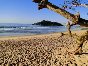 Turista morre afogado ao entrar em área sinalizada como perigosa no Guarujá