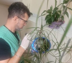 Santos reforça combate ao Aedes aegypti nesta semana