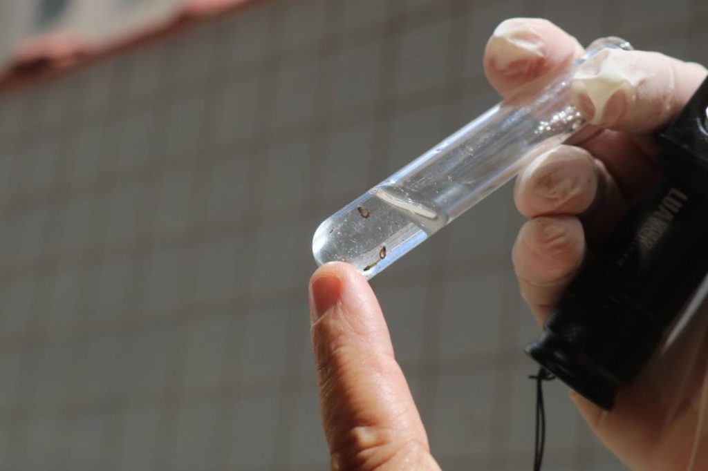 Prefeitura, Estado e Porto reforçam parceria no combate ao Aedes aegypti