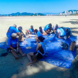 Santos: mutirões de limpeza nas praias encerram temporada 2025