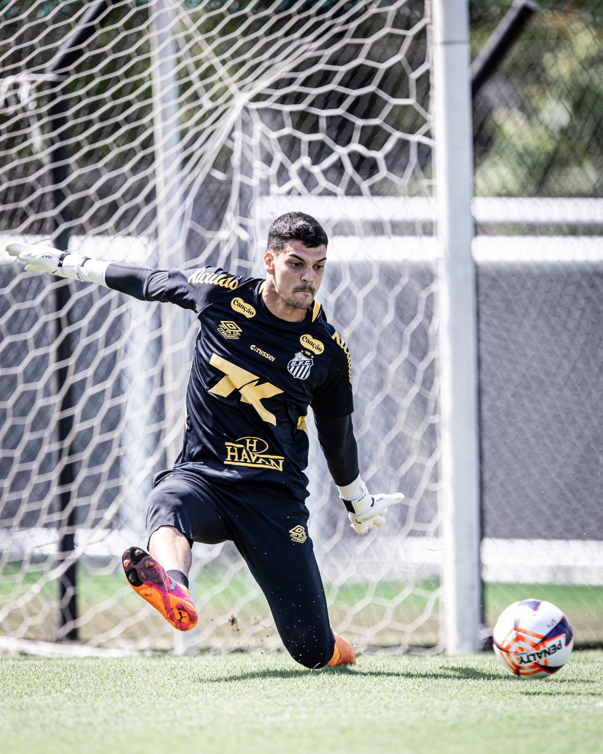 Raul Baretta/ Santos FC