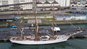Cisne Branco volta a Santos e pode ser visitado neste domingo