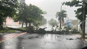 Chuva e ventania atingem Peruíbe; Defesa Civil afirma que não há desabrigados