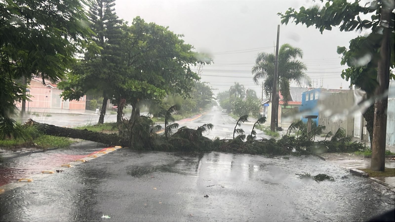 Divulgação/PMP
