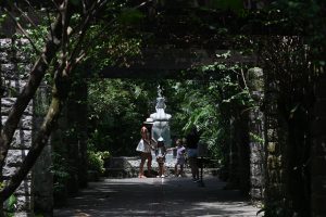 Orquidário de Santos atrai visitantes durante as férias