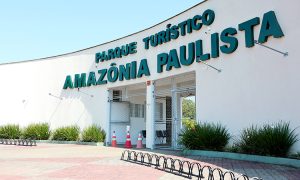 ‘Cultura no Parque’ oferece atividades gratuitas para crianças