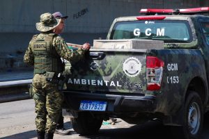Homem é detido por maus tratos a cachorro em São Vicente