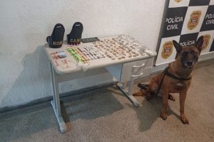 Com cão farejador, GCM de São Vicente apreende drogas na Vila Margarida