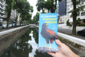 Campanha alerta e orienta sobre presença de gaviões em Santos