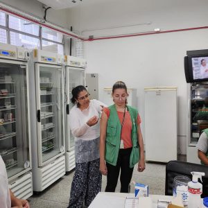 Santos e Guarujá começam a aplicar doses da vacina contra a dengue