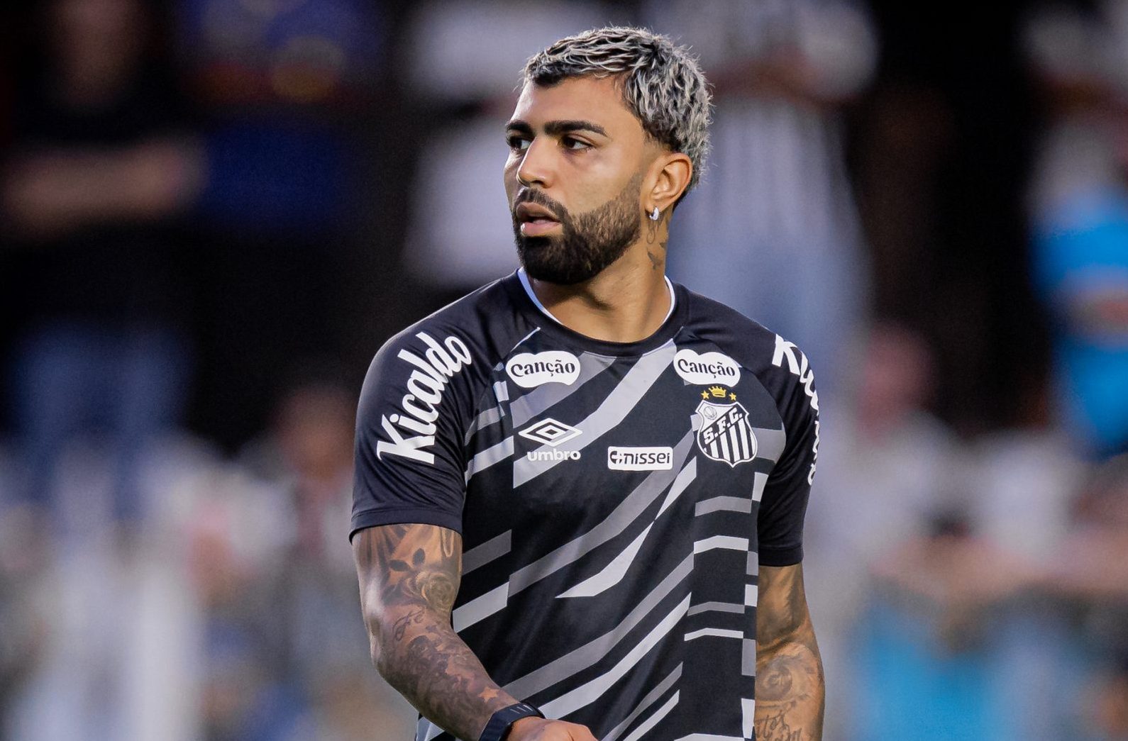 Raul Baretta/ Santos FC