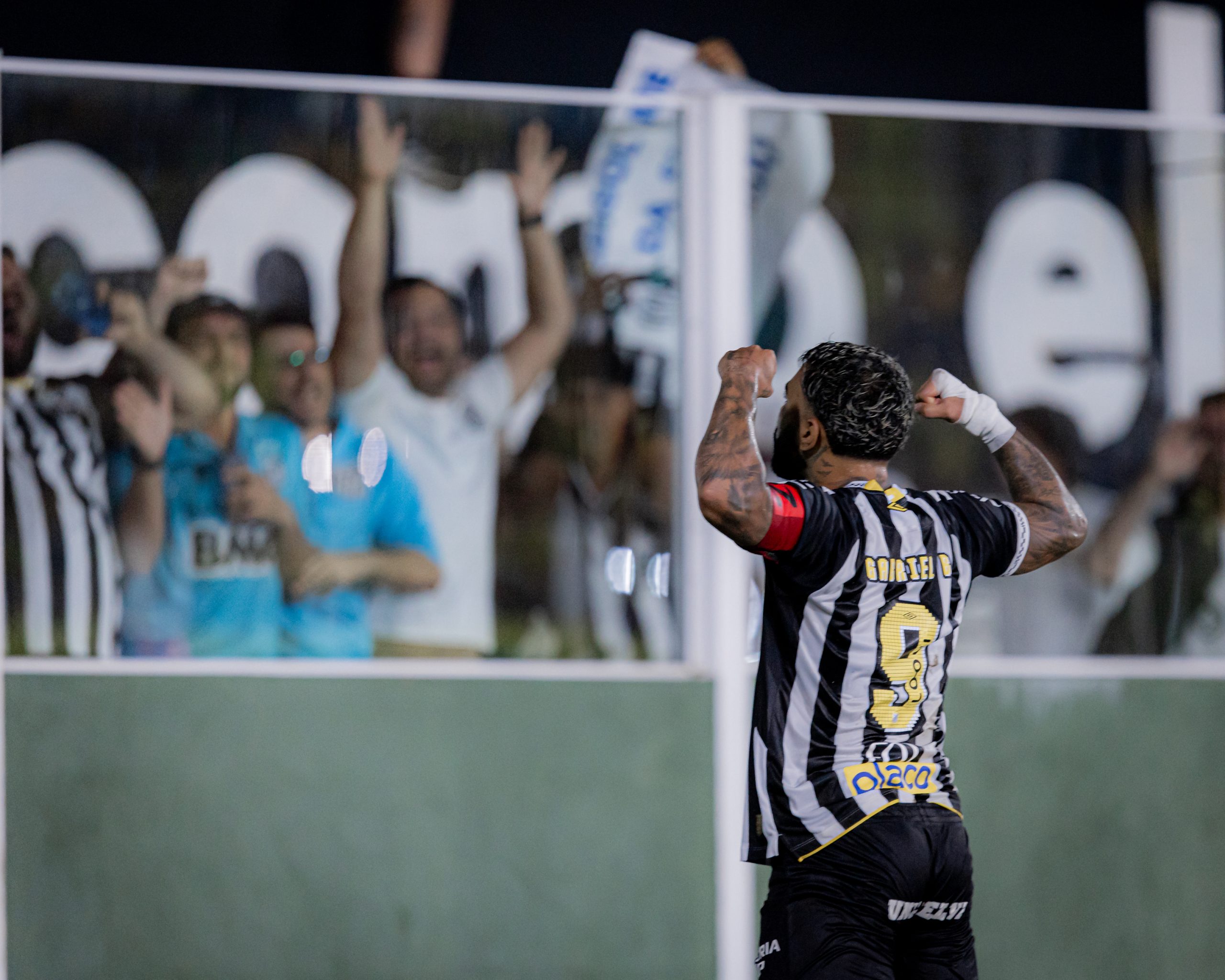 Raul Baretta/ Santos FC