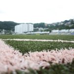 Federação Paulista de Futebol impede temporariamente jogos no CT Rei Pelé