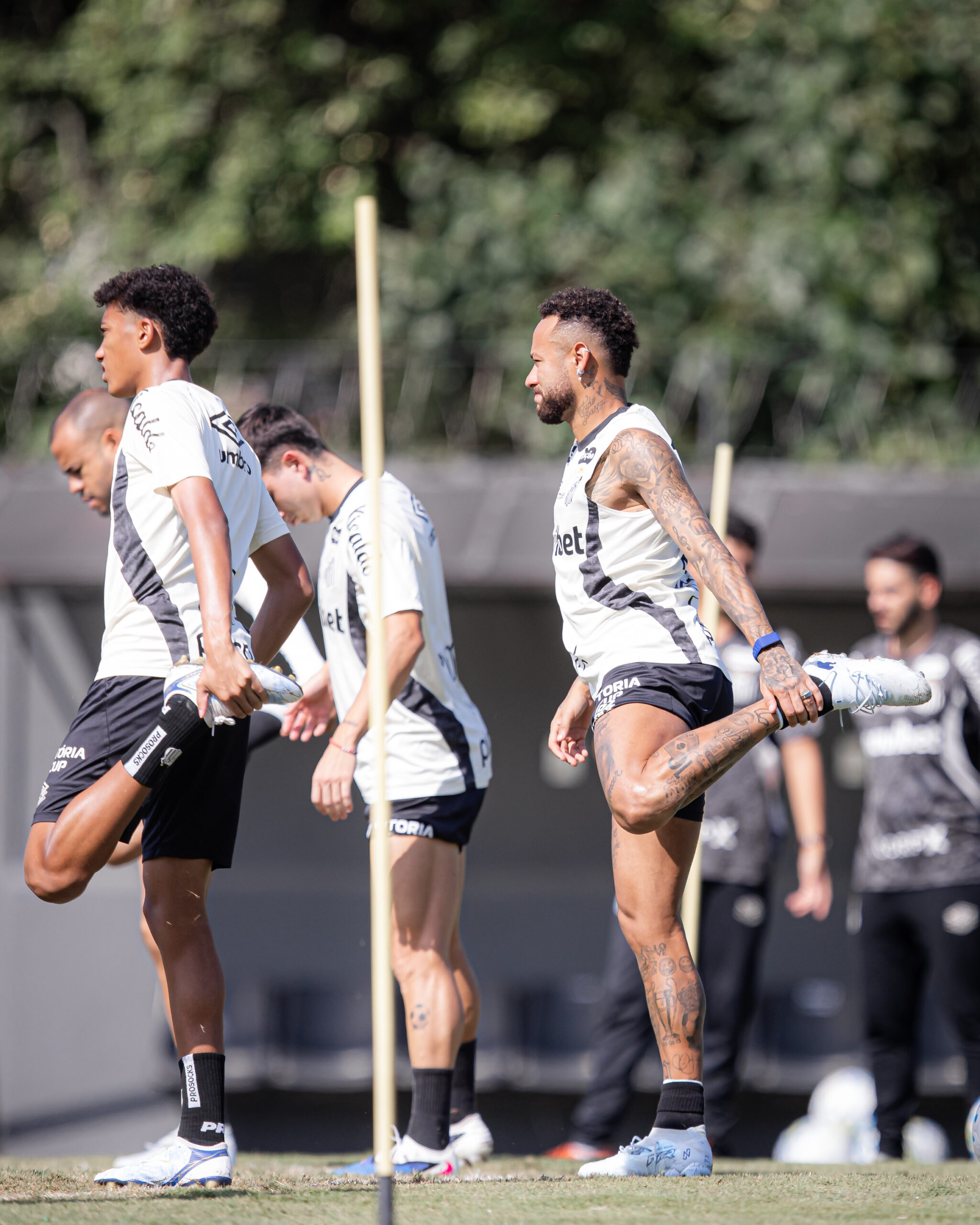 Raul Baretta/ Santos FC