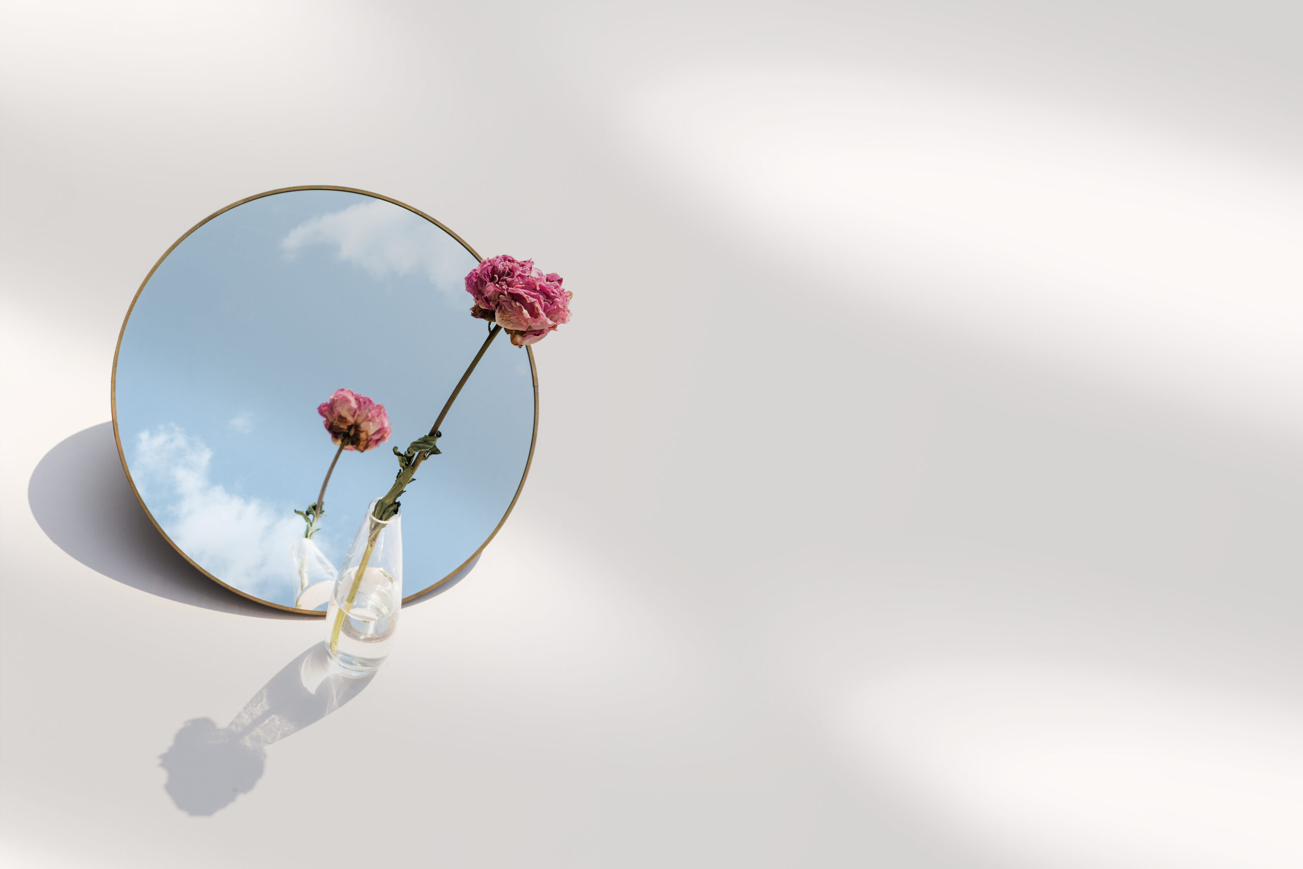Reprodução/Freepik