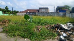 Mongaguá intensifica fiscalização a terrenos particulares vazios