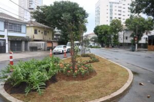 Câmara de Santos debate ´jardins de chuva` para melhorar drenagem