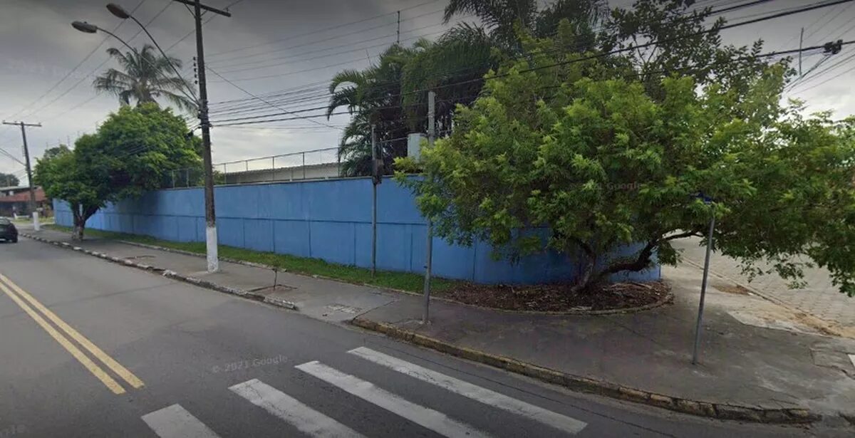 Reprodução Reprodução