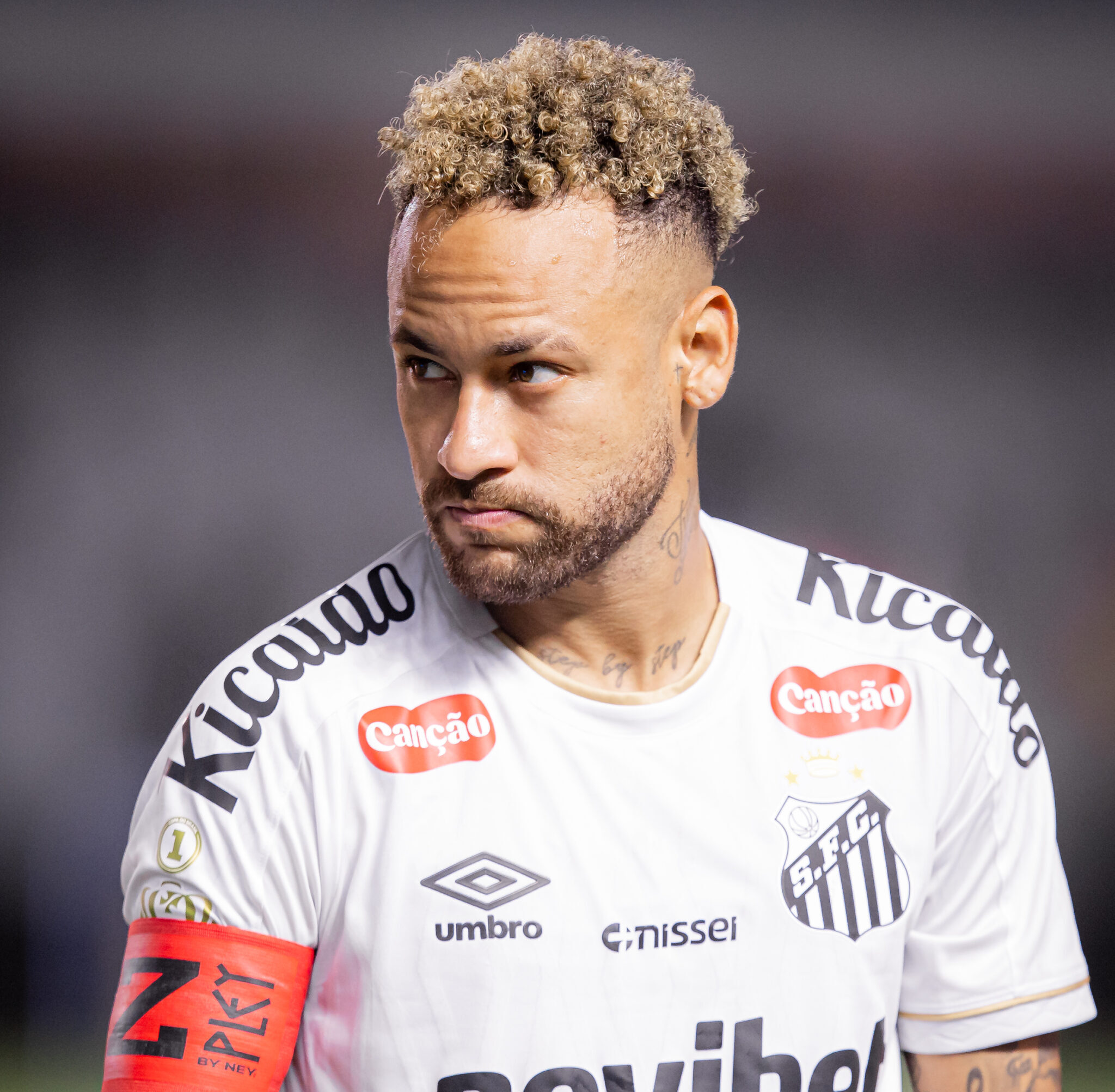 Raul Baretta/ Santos FC