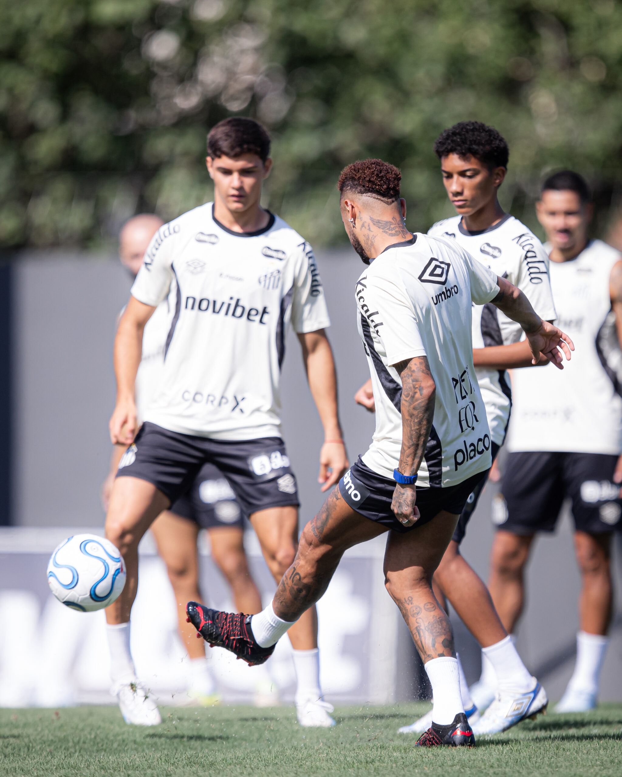 Raul Baretta/ Santos FC