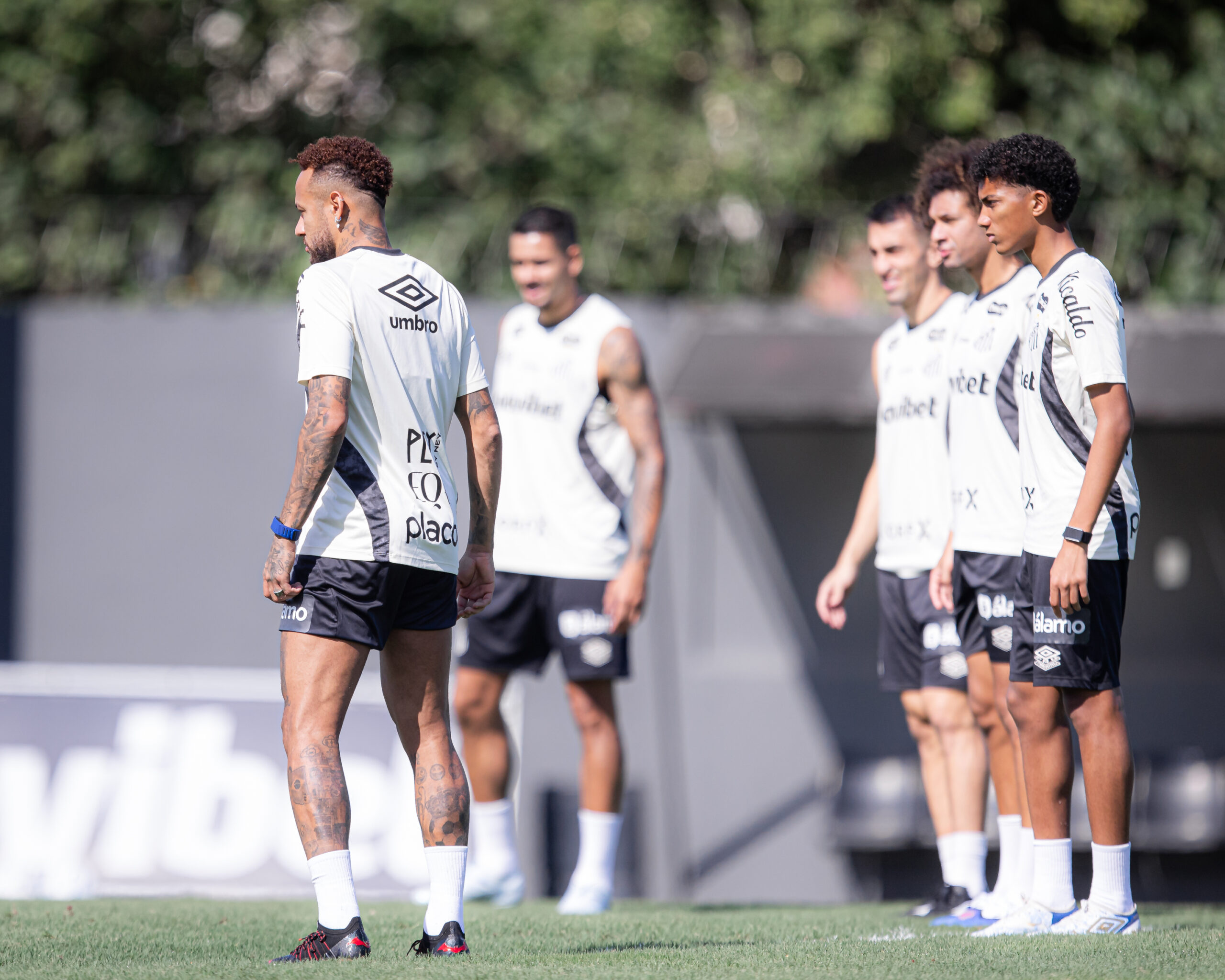 Raul Baretta/ Santos FC