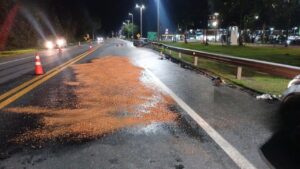 Colisão frontal na Rio-Santos deixa uma pessoa ferida