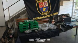 Drogas e captura: veja o saldo da operação da PM em Cubatão