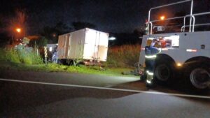 Cavalos são atropelados em rodovia do Litoral