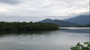 Homem sofre mal súbito, cai no Rio Itapanhaú e desaparece