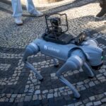 Sabesp adota cachorro-robô para operações mais detalhadas