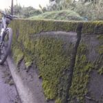 Ciclista morre após ser atingido por caminhão na Cônego