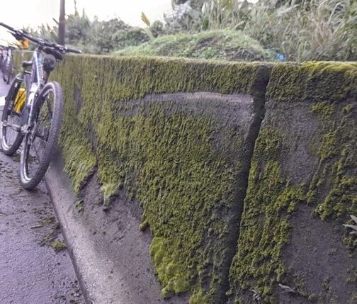 Ciclista morre após chocar-se contra muro na Cônego