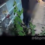 Procurado por furtos a comércios é preso em Santos; VÍDEO