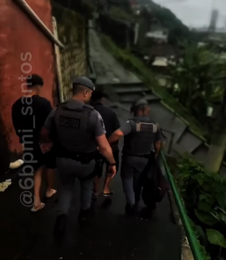 Reprodução