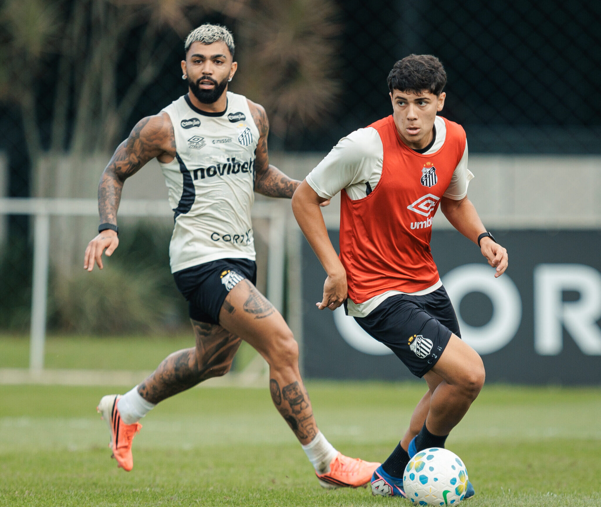 Raul Baretta/ Santos FC Raul Baretta/ Santos FC