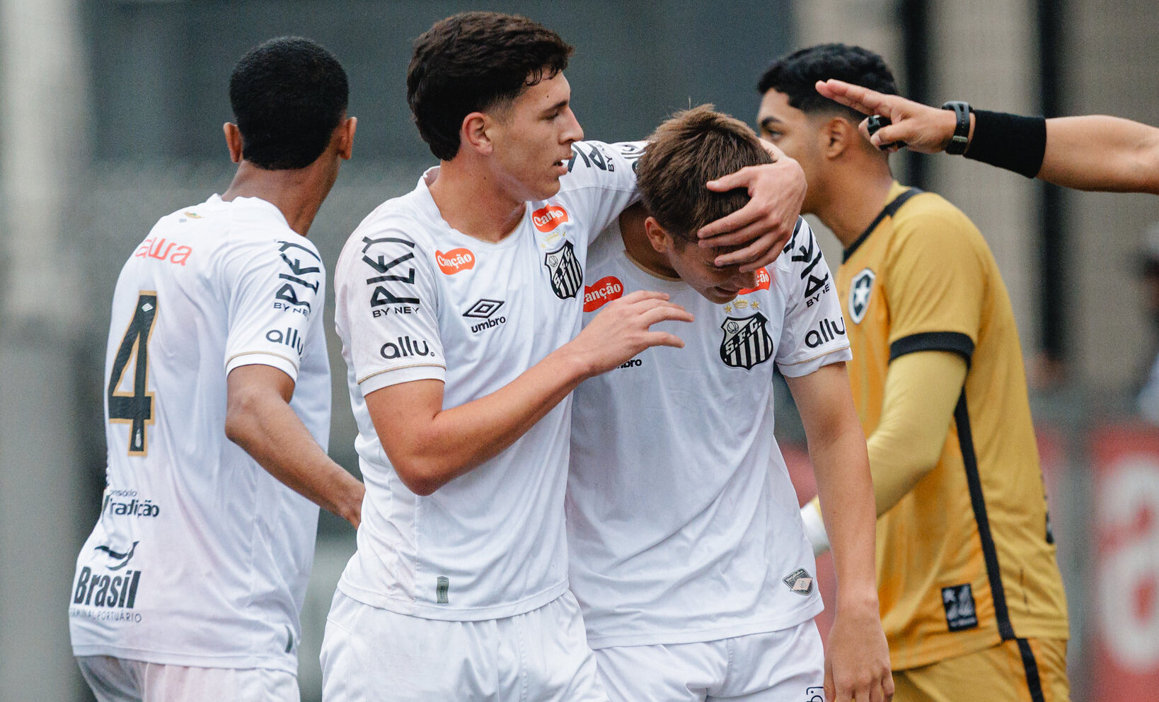 Raul Baretta / Santos FC Raul Baretta / Santos FC